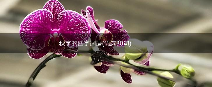 秋字的四字词语(优选30句),第1张