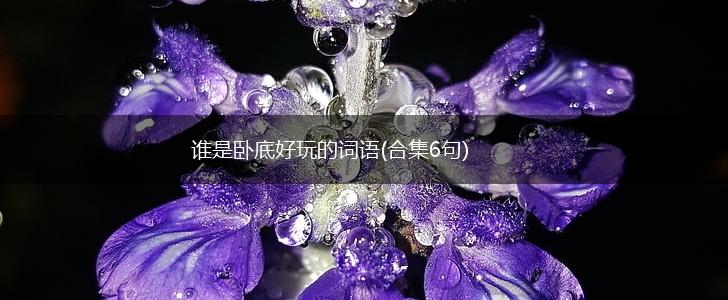 谁是卧底好玩的词语(合集6句),第1张