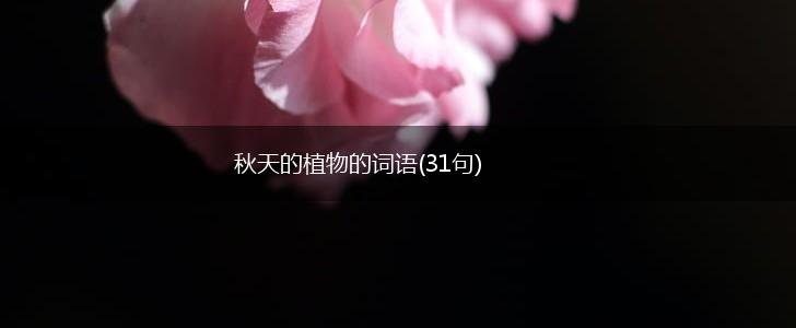 秋天的植物的词语(31句),第1张