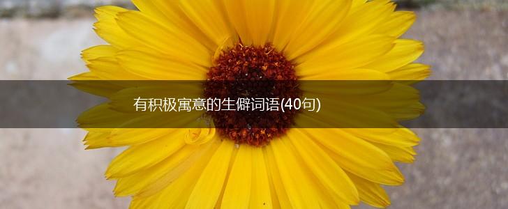 有积极寓意的生僻词语(40句),第1张