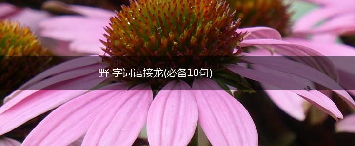 野 字词语接龙(必备10句),第1张