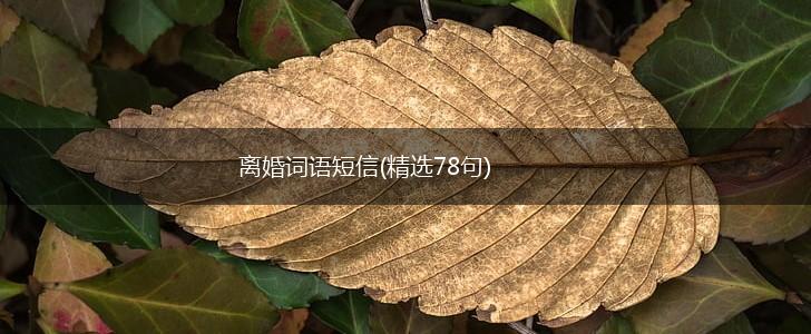 离婚词语短信(精选78句),第1张