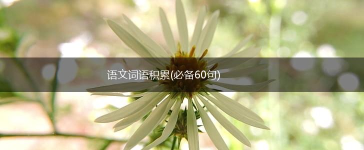语文词语积累(必备60句),第1张