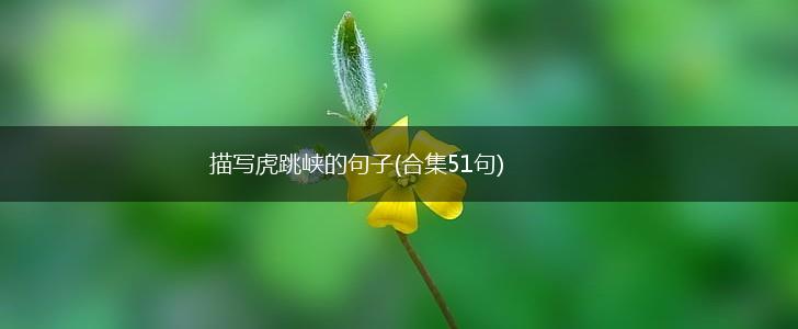 描写虎跳峡的句子(合集51句),第1张