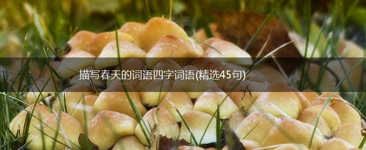 描写春天的词语四字词语(精选45句),第1张