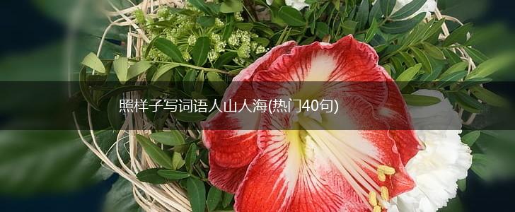 照样子写词语人山人海(热门40句),第1张