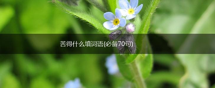 苦得什么填词语(必备70句),第1张