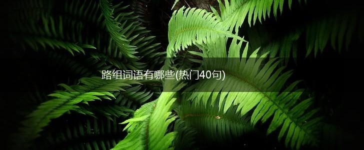 路组词语有哪些(热门40句),第1张