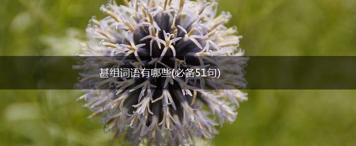 甚组词语有哪些(必备51句),第1张