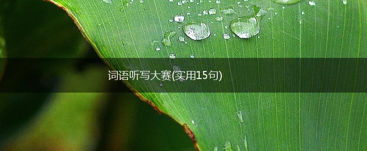 词语听写大赛(实用15句),第1张