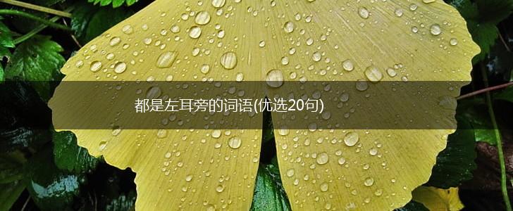 都是左耳旁的词语(优选20句),第1张