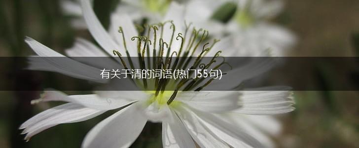 有关于清的词语(热门55句),第1张