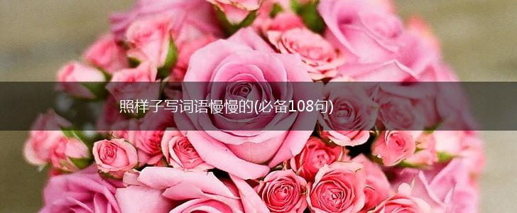 照样子写词语慢慢的(必备108句),第1张