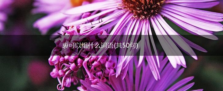 衷可以组什么词语(共50句),第1张