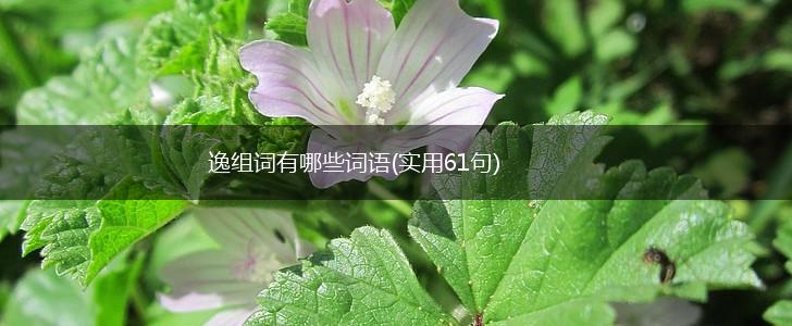 逸组词有哪些词语(实用61句),第1张