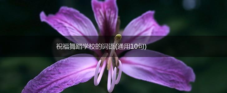 祝福舞蹈学校的词语(通用10句),第1张
