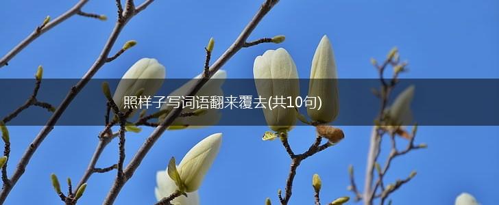 照样子写词语翻来覆去(共10句),第1张