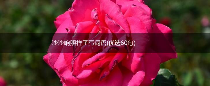沙沙响照样子写词语(优选60句),第1张
