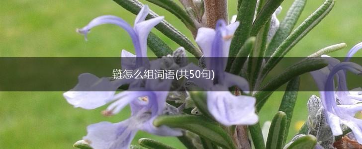 链怎么组词语(共50句),第1张