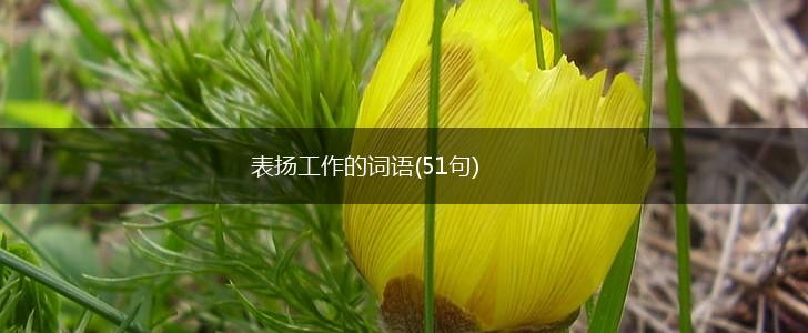 表扬工作的词语(51句),第1张