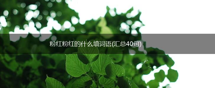 粉红粉红的什么填词语(汇总40句),第1张