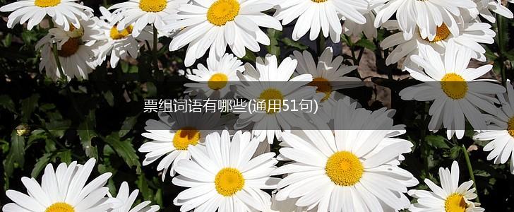 票组词语有哪些(通用51句),第1张