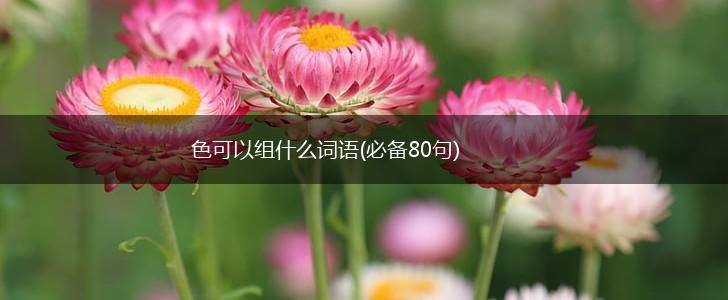 色可以组什么词语(必备80句),第1张