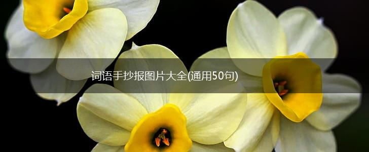 词语手抄报图片大全(通用50句),第1张
