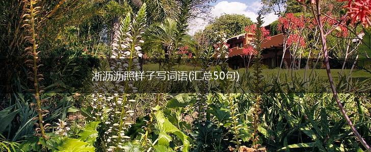 淅沥沥照样子写词语(汇总50句),第1张