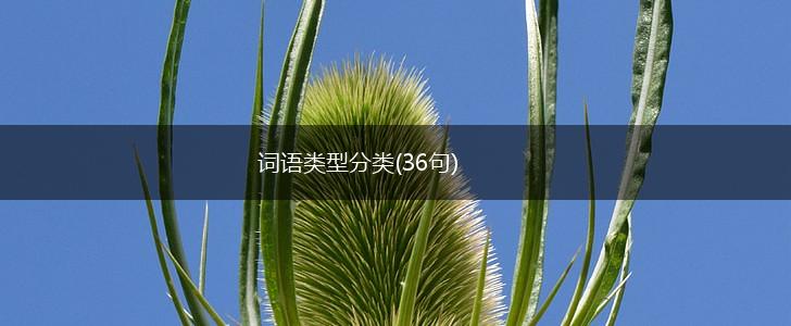 词语类型分类(36句),第1张