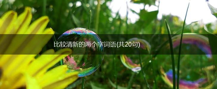比较清新的两个字词语(共20句),第1张