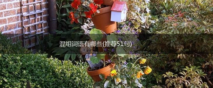 混组词语有哪些(推荐51句),第1张