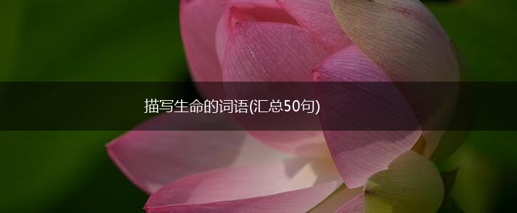 描写生命的词语(汇总50句),第1张