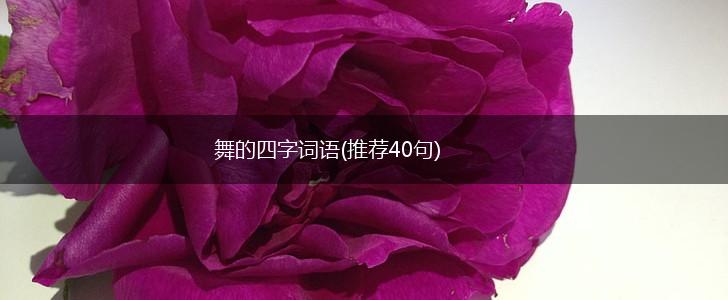 舞的四字词语(推荐40句),第1张