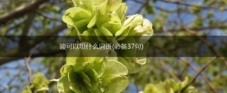 竣可以组什么词语(必备37句),第1张