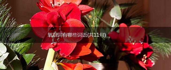 氧组词有哪些词语(共11句),第1张