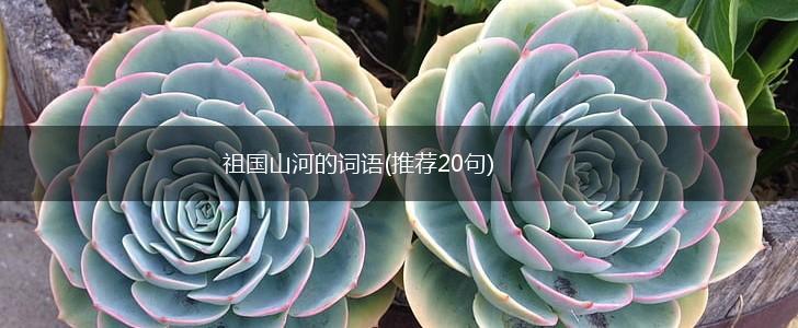 祖国山河的词语(推荐20句),第1张