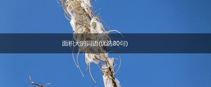 面积大的词语(优选80句),第1张