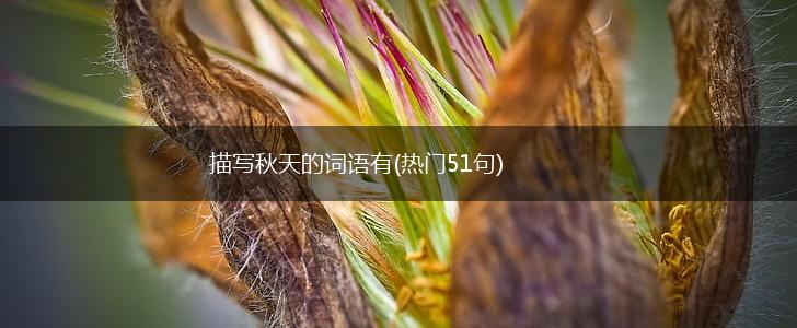 描写秋天的词语有(热门51句),第1张