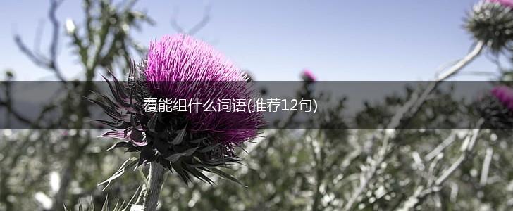 覆能组什么词语(推荐12句),第1张