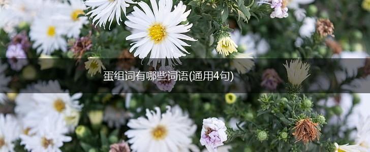 蛋组词有哪些词语(通用4句),第1张