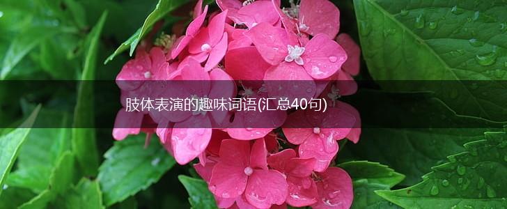 肢体表演的趣味词语(汇总40句),第1张
