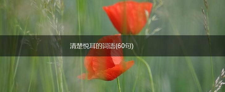 清楚悦耳的词语(60句),第1张