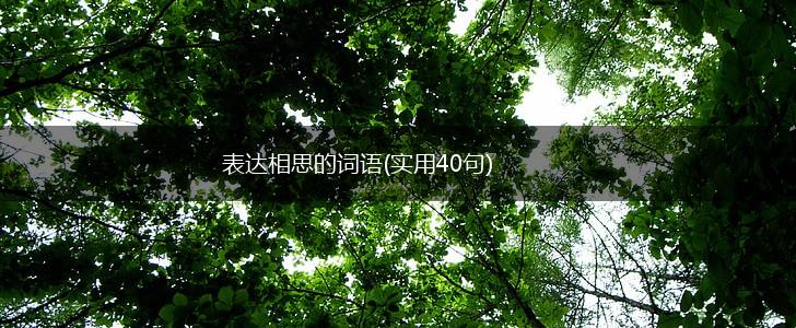 表达相思的词语(实用40句),第1张