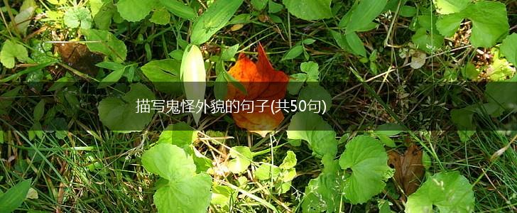 描写鬼怪外貌的句子(共50句),第1张