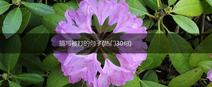 描写被打的句子(热门30句),第1张