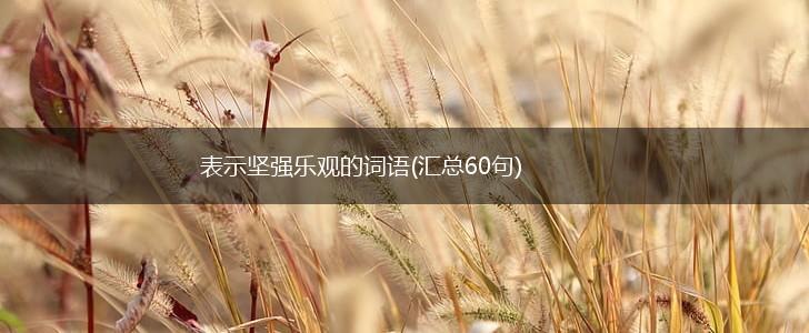 表示坚强乐观的词语(汇总60句),第1张