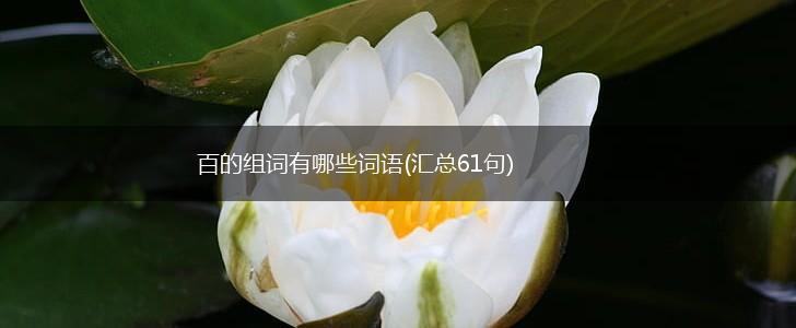 百的组词有哪些词语(汇总61句),第1张
