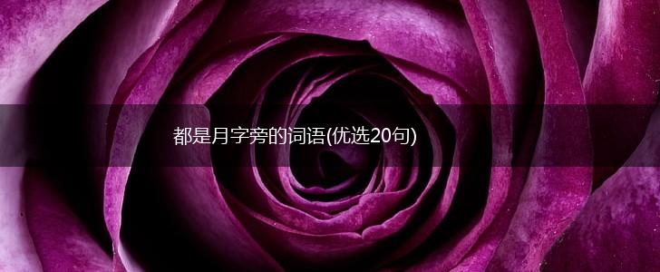 都是月字旁的词语(优选20句),第1张