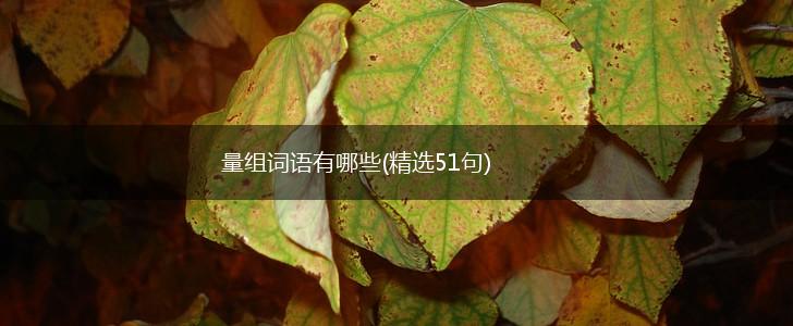 量组词语有哪些(精选51句),第1张